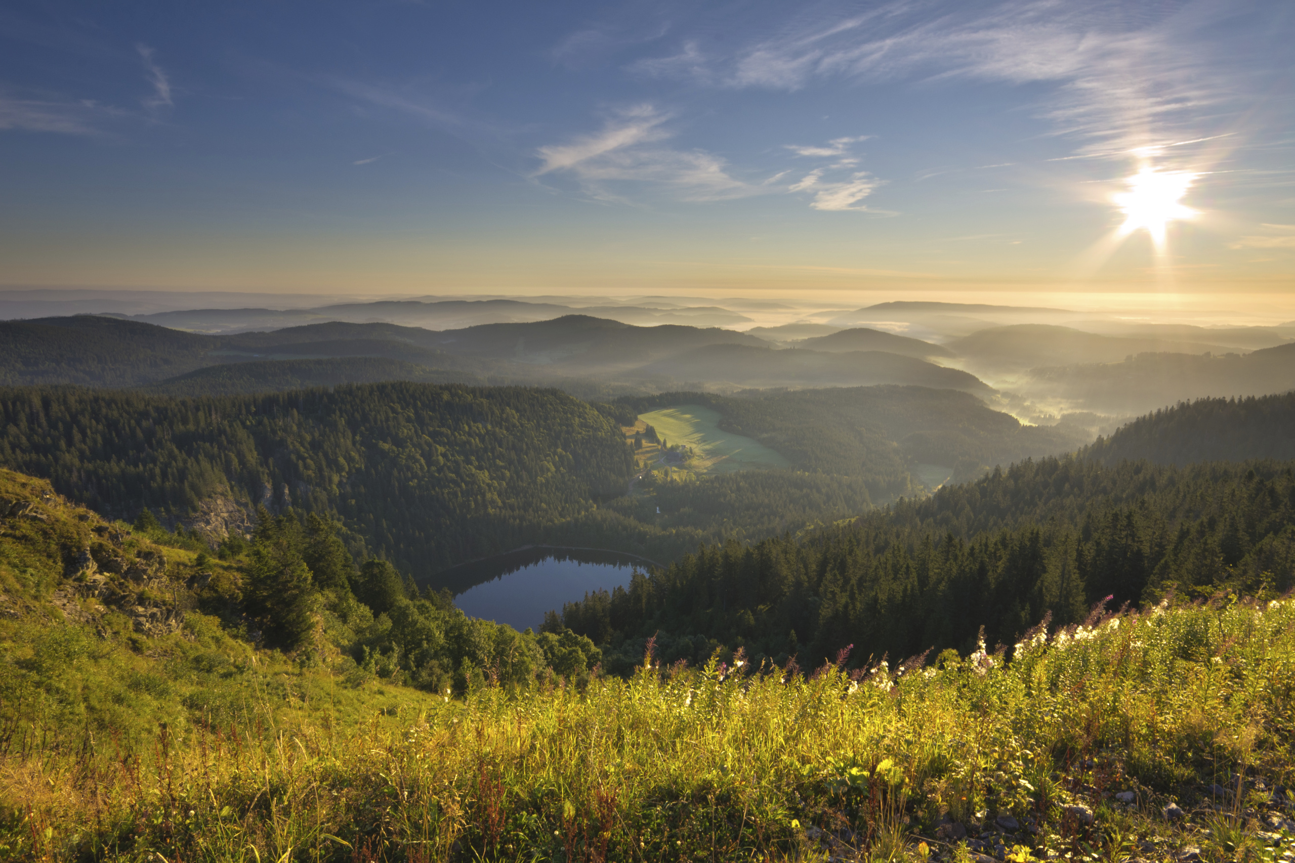 Schwarzwald